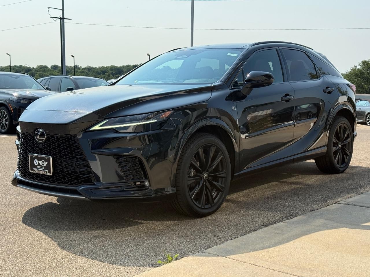 Lexus RX Vehicle Image 08