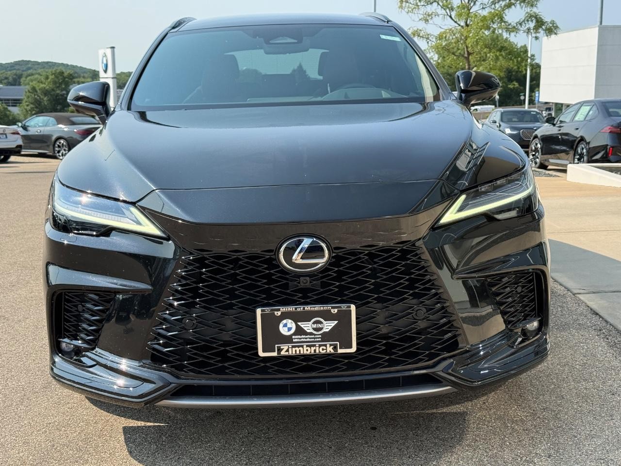 Lexus RX Vehicle Image 09
