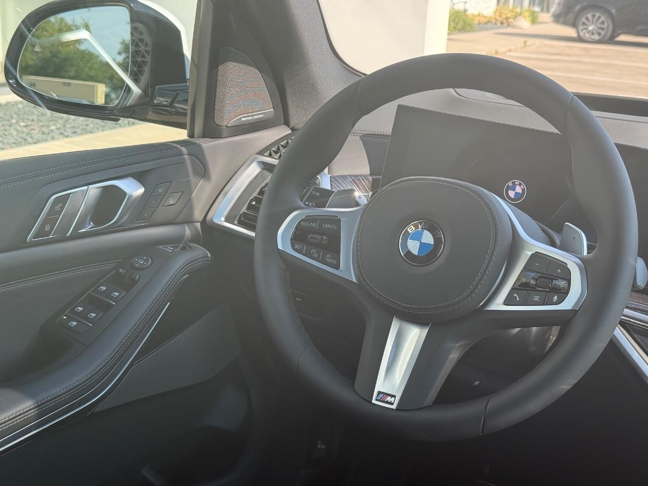 BMW X5 Vehicle Image 09