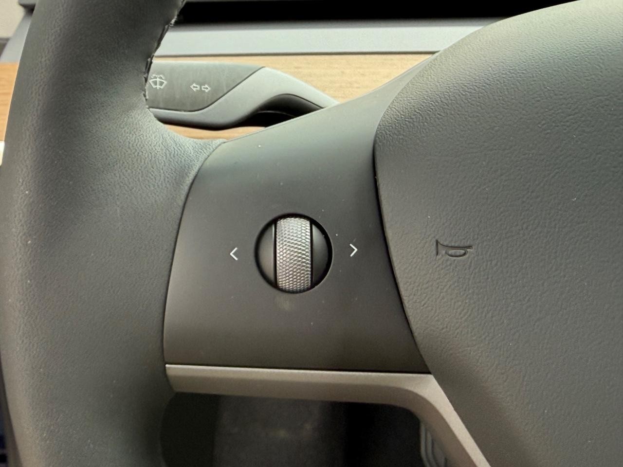 Tesla Model 3 Vehicle Image 15