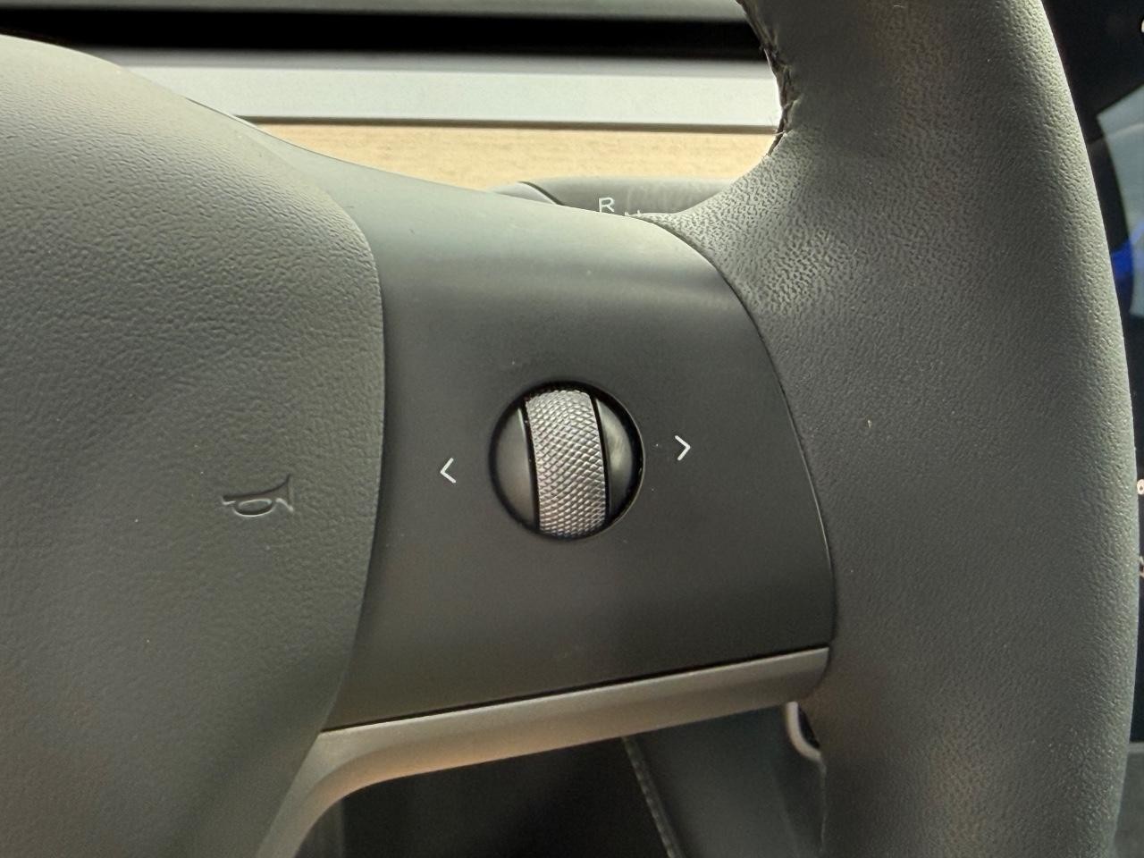 Tesla Model 3 Vehicle Image 16