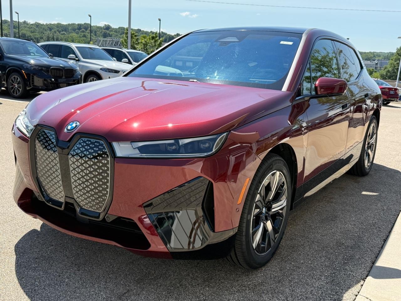 BMW iX Vehicle Image 08