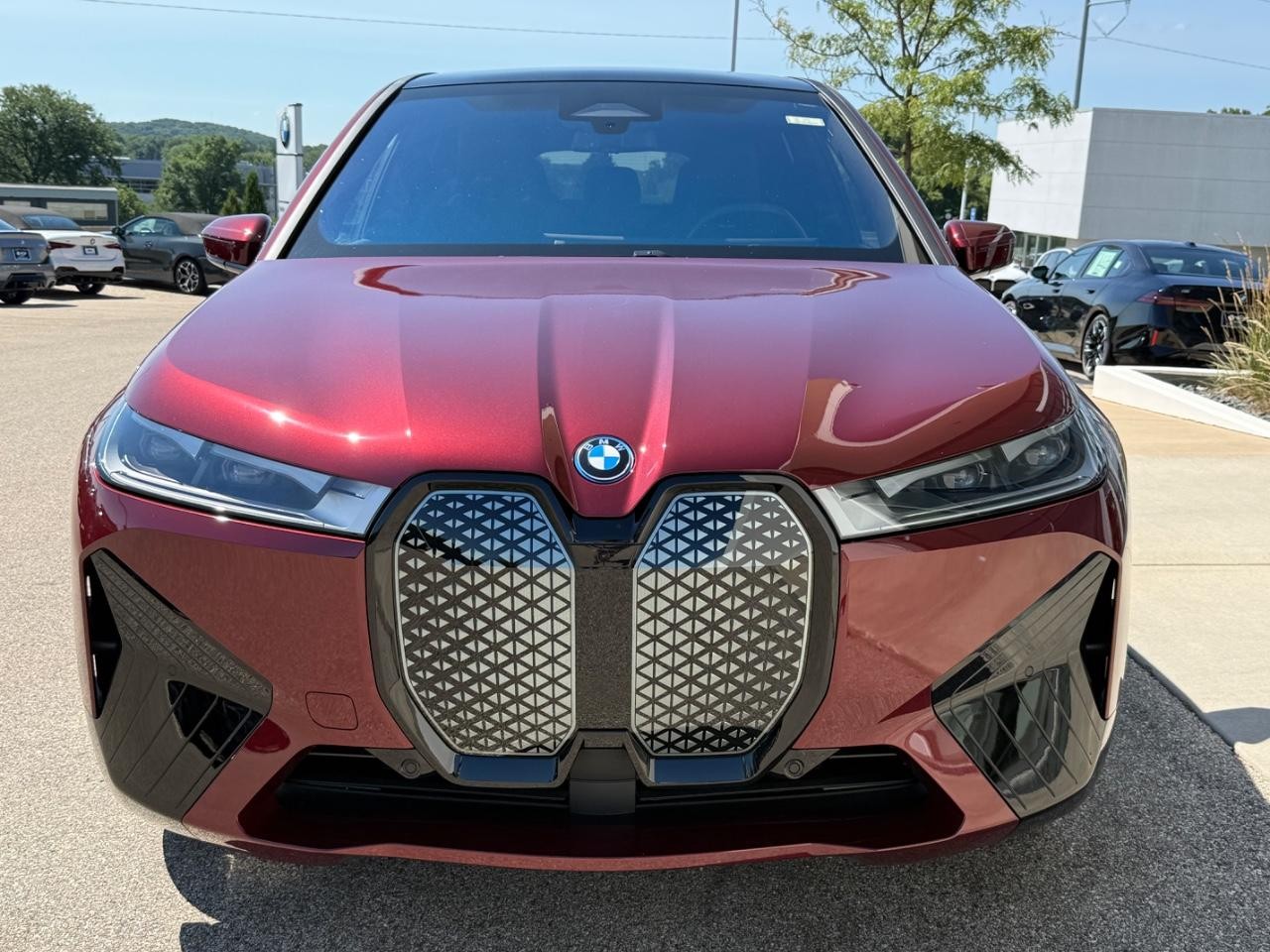 BMW iX Vehicle Image 09
