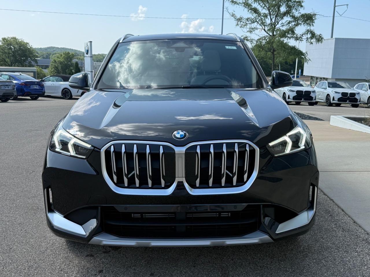 BMW X1 Vehicle Image 09