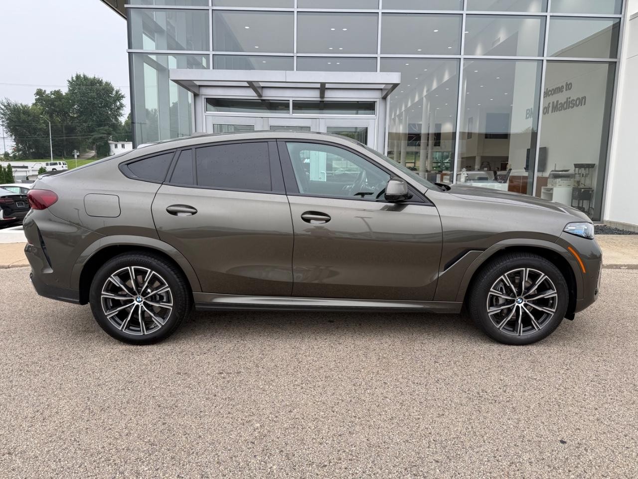 BMW X6 Vehicle Image 02