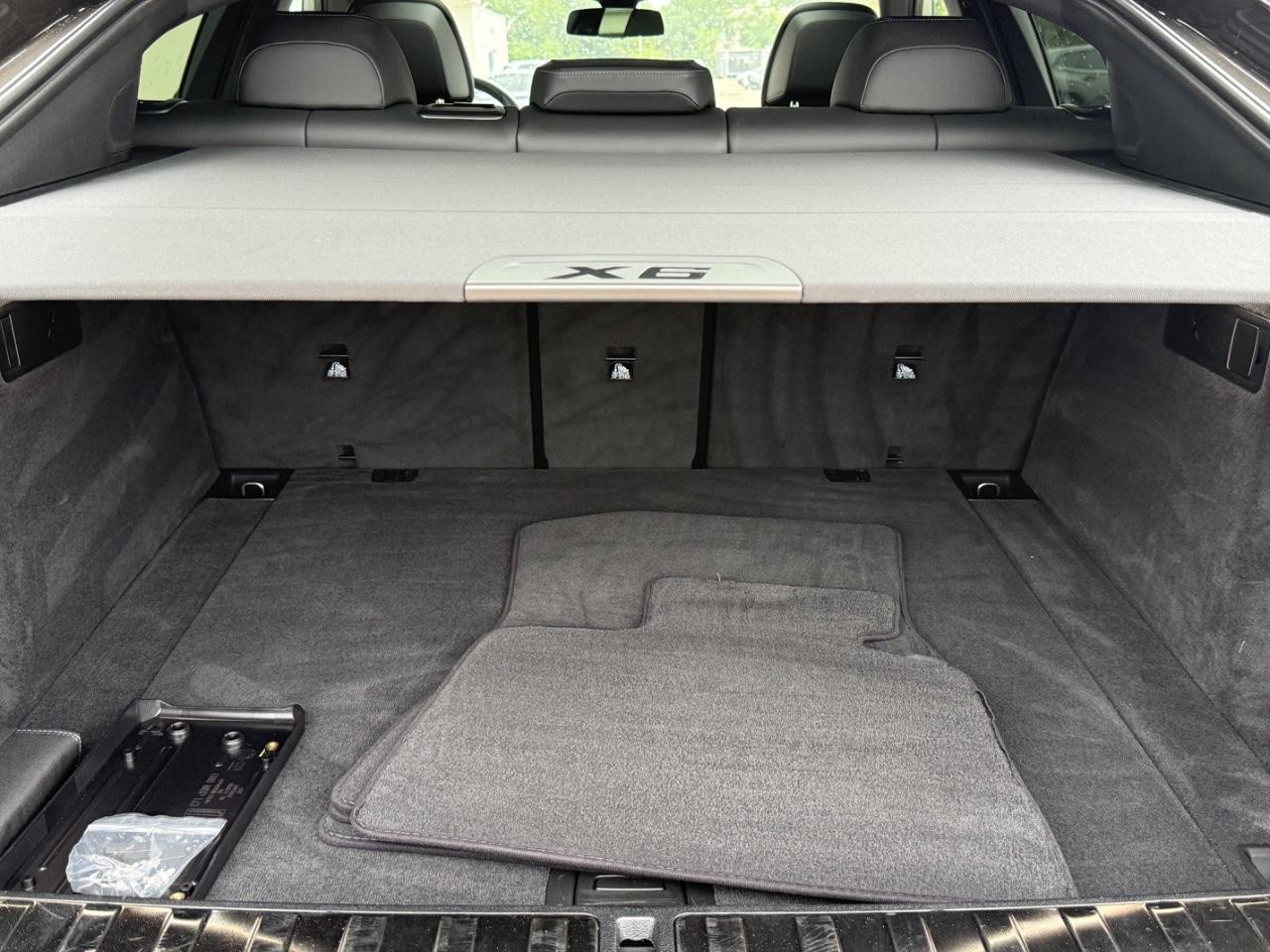 BMW X6 Vehicle Image 05