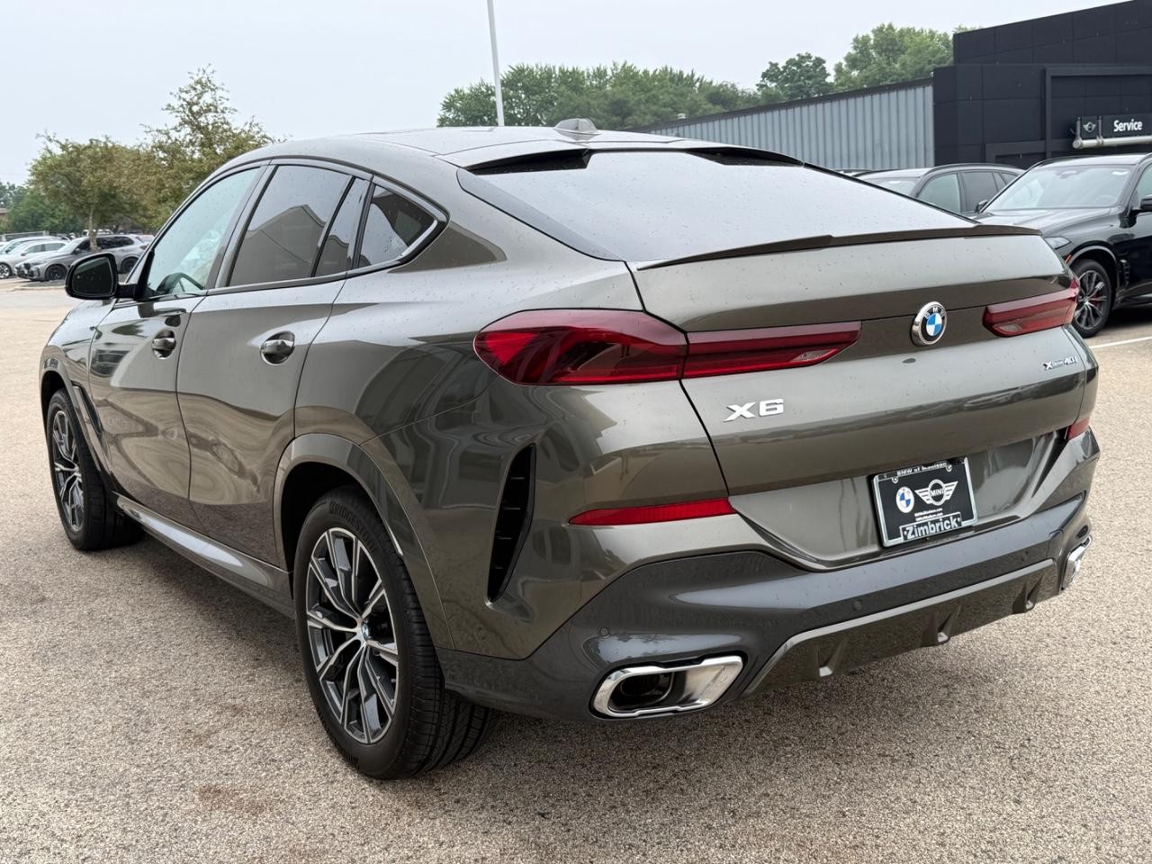 BMW X6 Vehicle Image 06