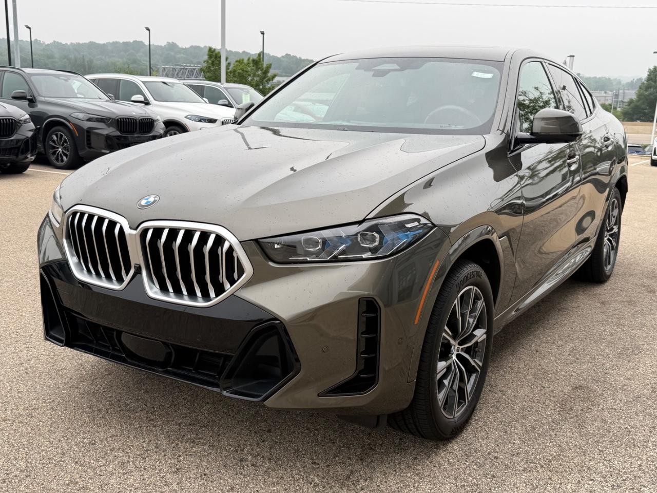 BMW X6 Vehicle Image 08