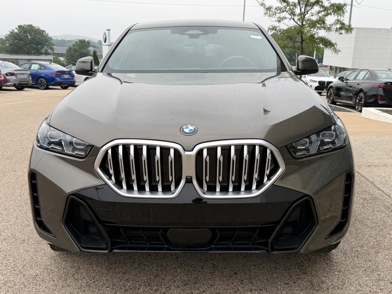 BMW X6 Vehicle Image 09