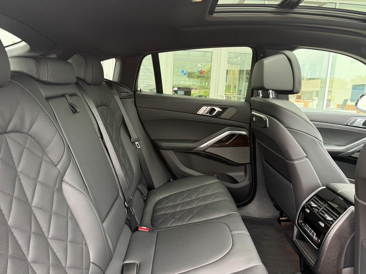 BMW X6 Vehicle Image 10