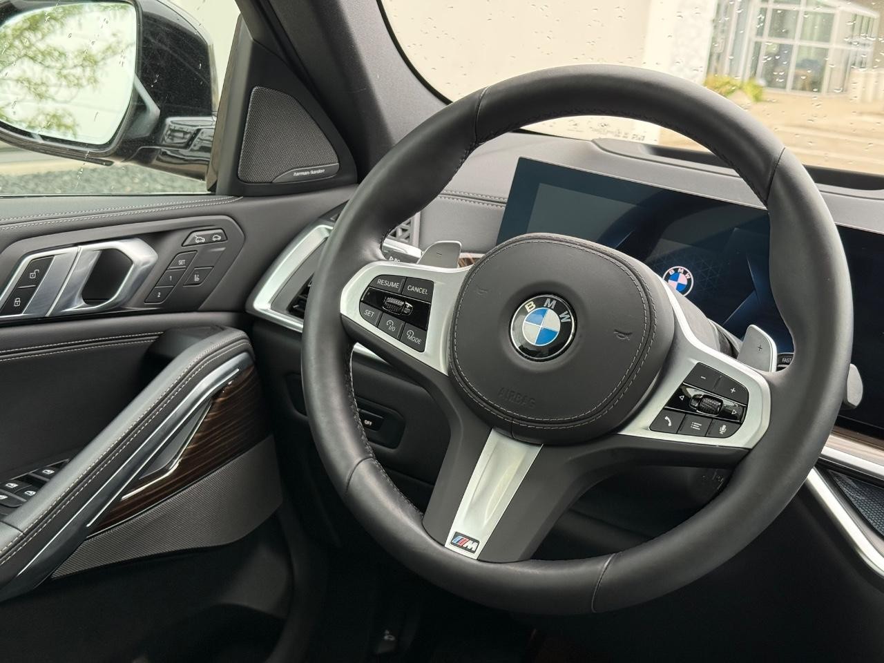 BMW X6 Vehicle Image 14