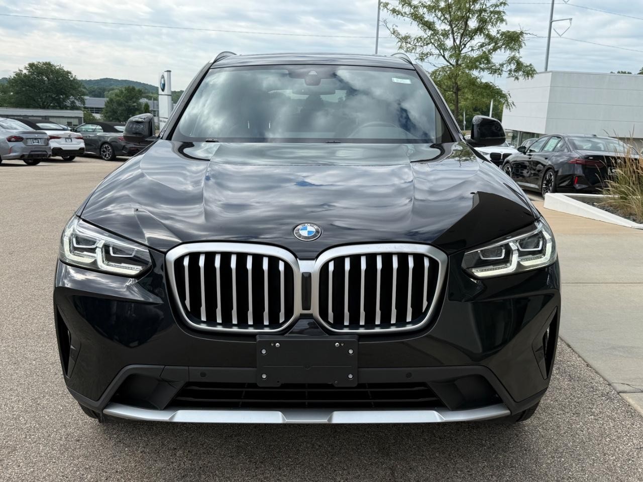 BMW X3 Vehicle Image 09