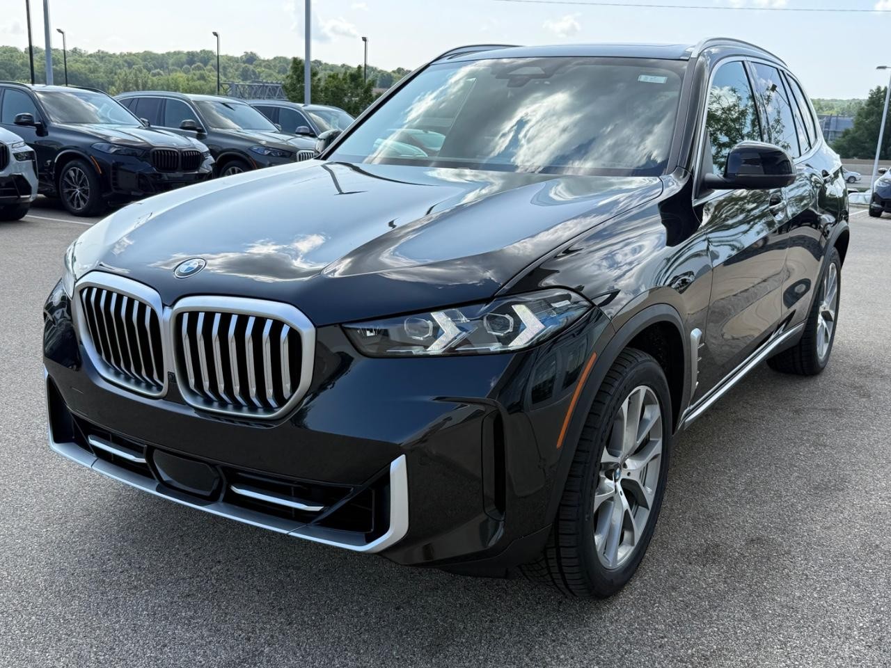 BMW X5 Vehicle Image 08