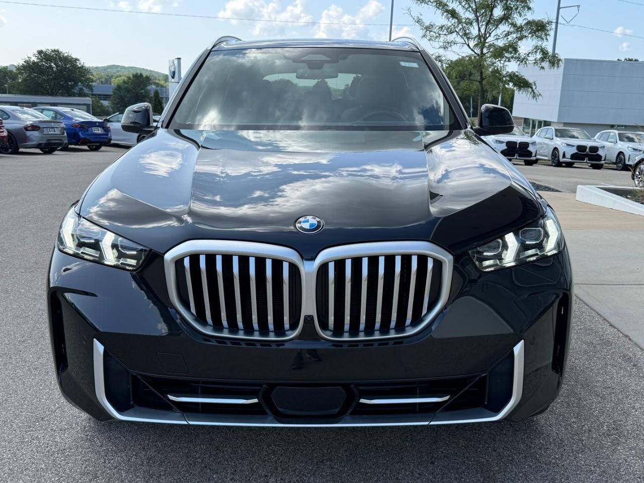 BMW X5 Vehicle Image 09