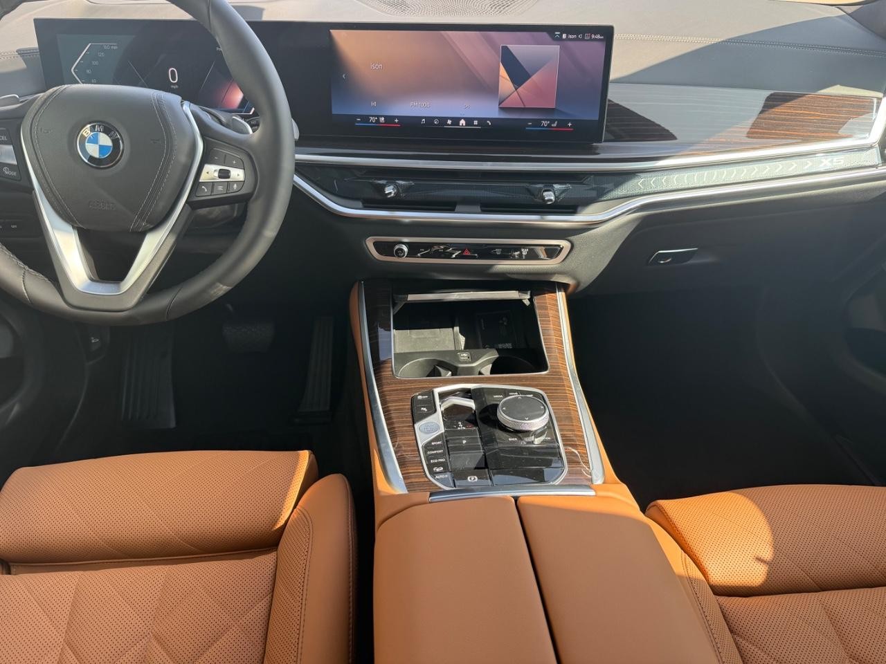 BMW X5 Vehicle Image 06