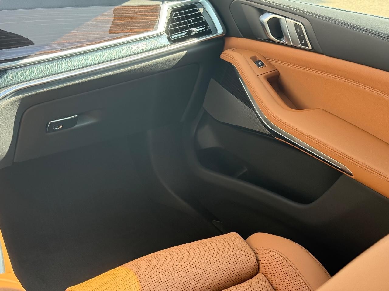 BMW X5 Vehicle Image 10
