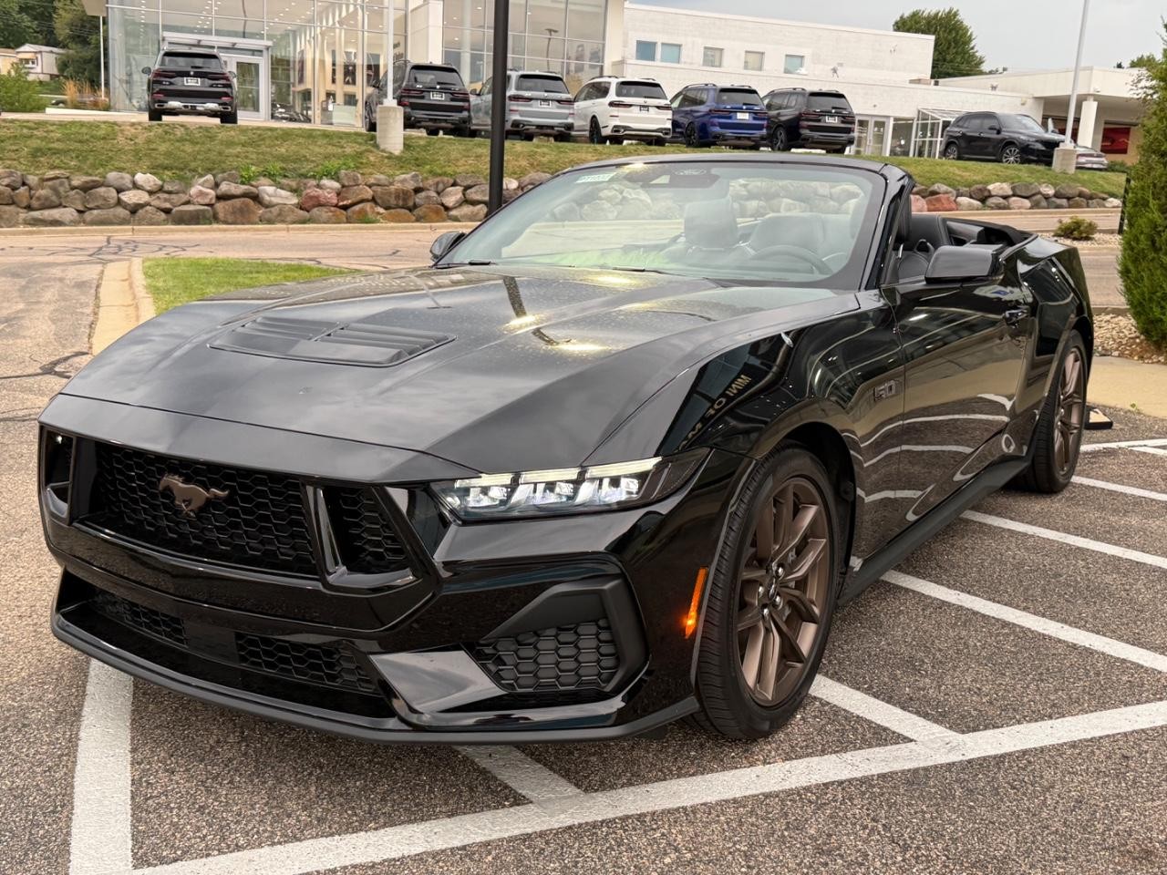 Ford Mustang Vehicle Image 07