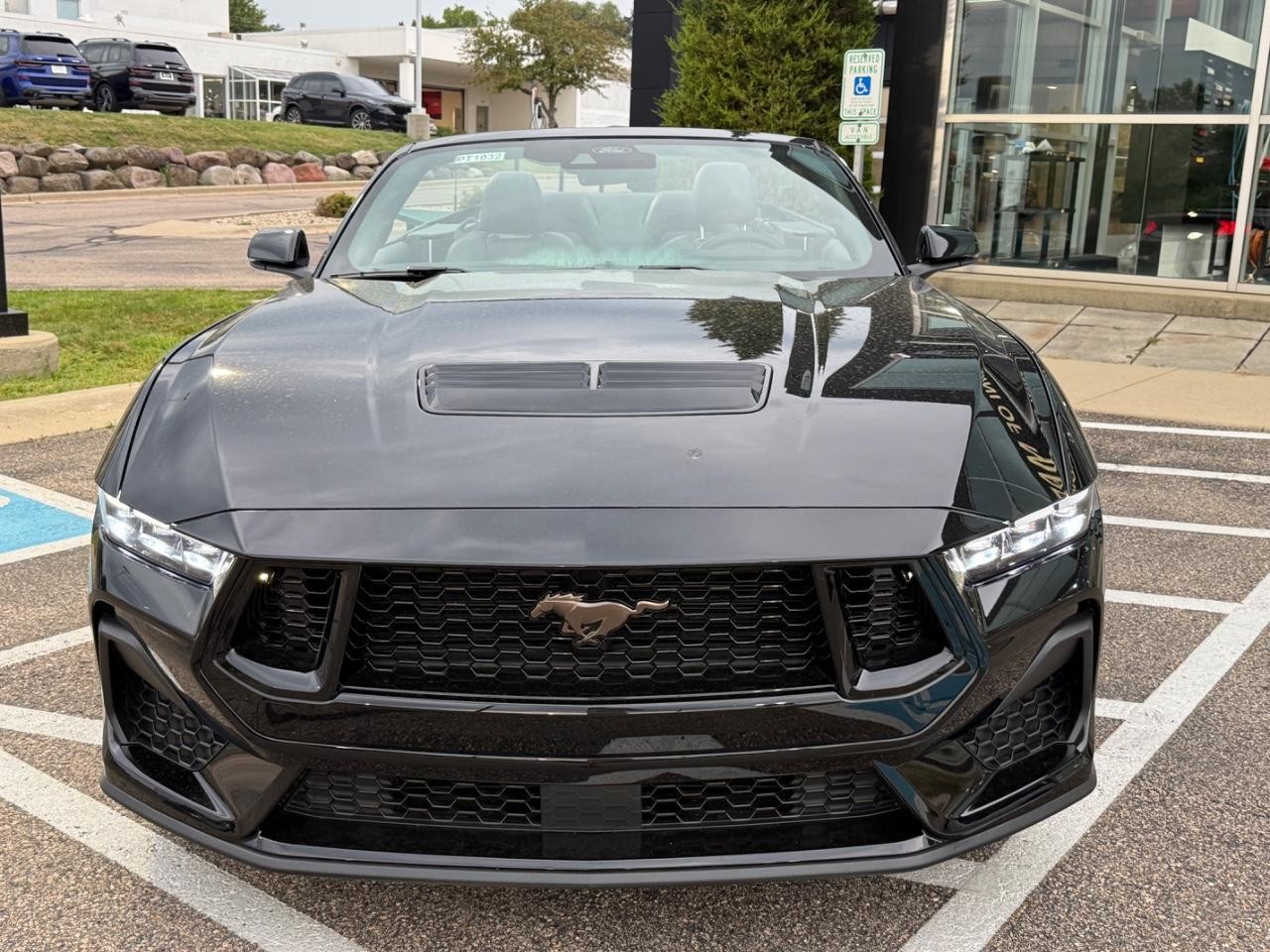 Ford Mustang Vehicle Image 08