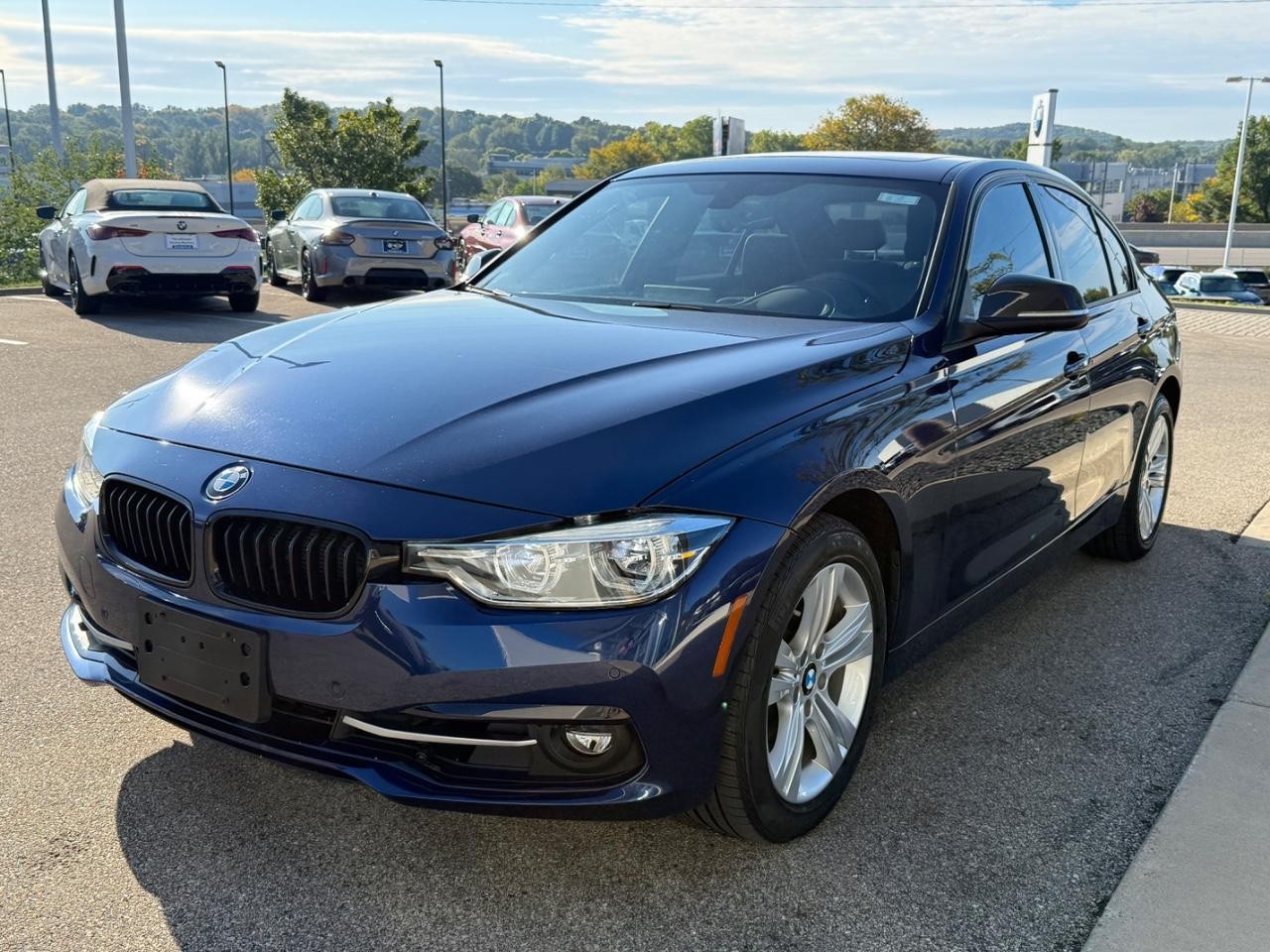 BMW 3 Series Vehicle Image 07
