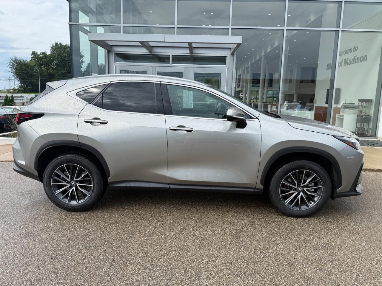 Lexus NX Vehicle Image 02