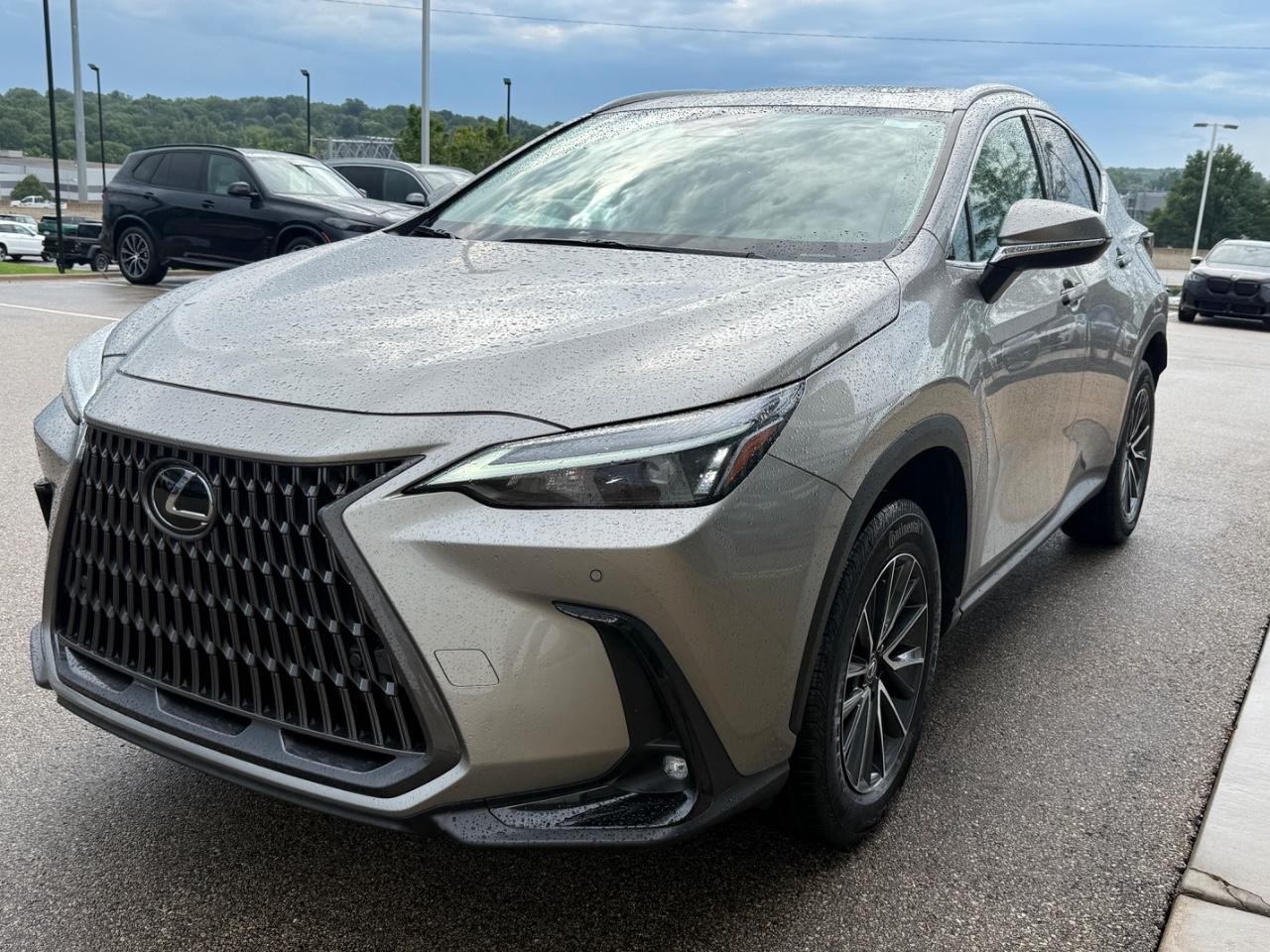 Lexus NX Vehicle Image 08