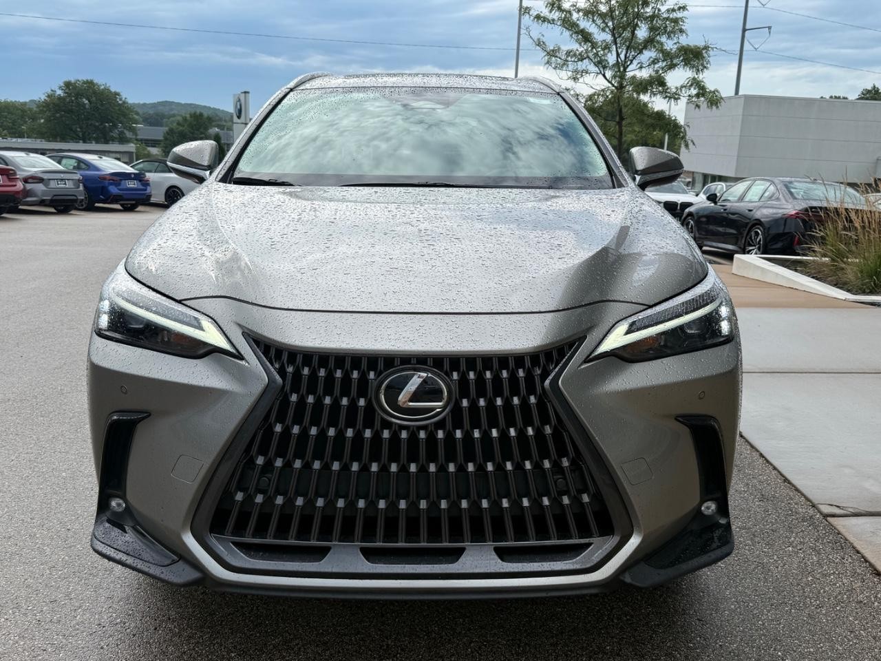 Lexus NX Vehicle Image 09