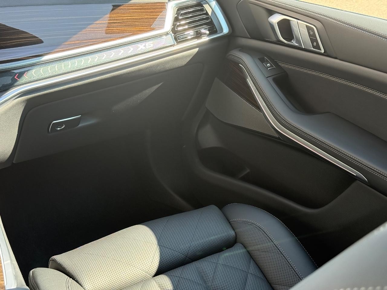 BMW X5 Vehicle Image 10
