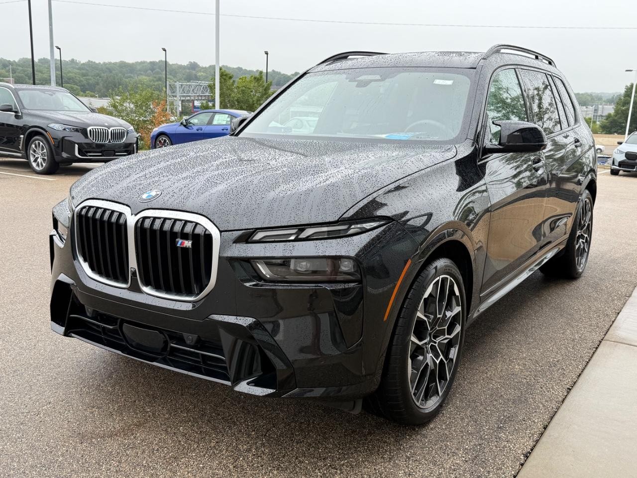 BMW X7 Vehicle Image 08