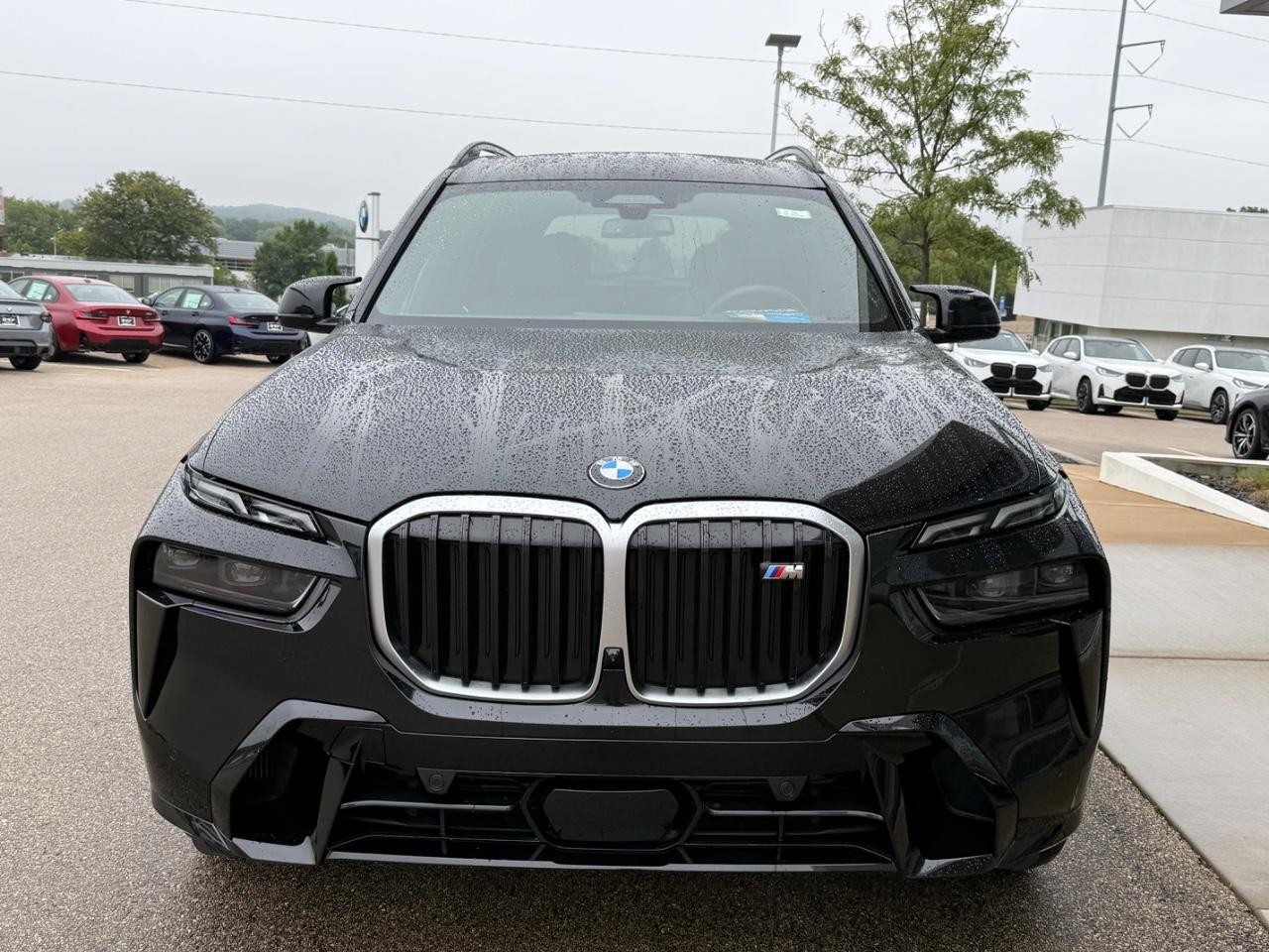 BMW X7 Vehicle Image 09