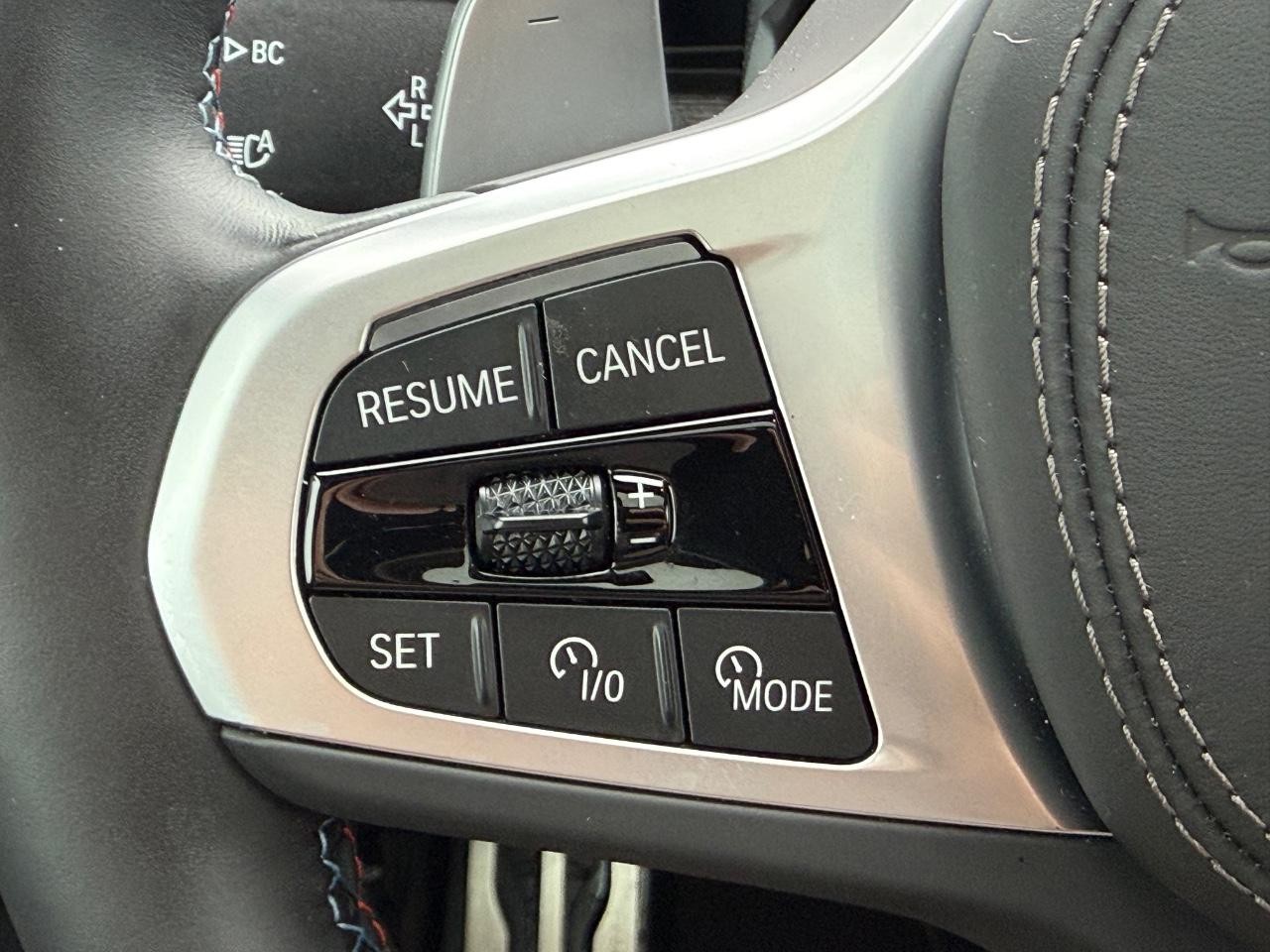 BMW X7 Vehicle Image 17