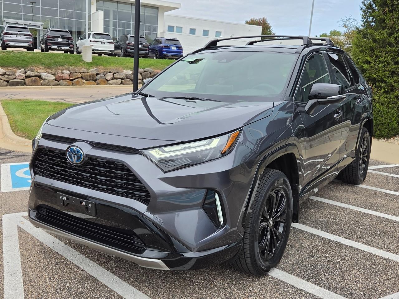 Toyota RAV4 Vehicle Image 07