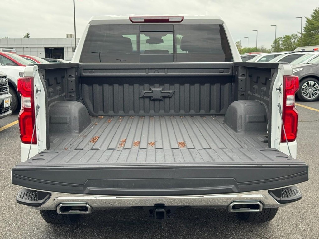Chevrolet Silverado 1500 Vehicle Full-screen Gallery Image 04