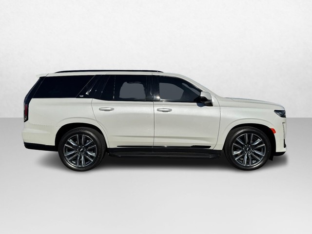 2023 Cadillac Escalade 4WD Sport's photo