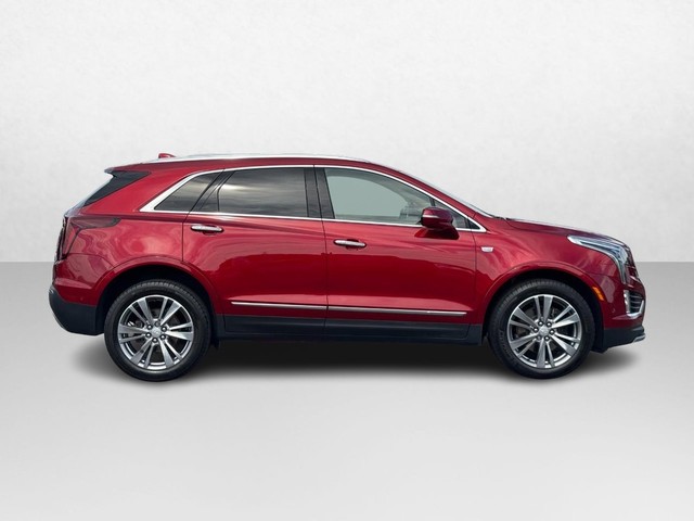 2024 Cadillac XT5 AWD Premium Luxury's photo