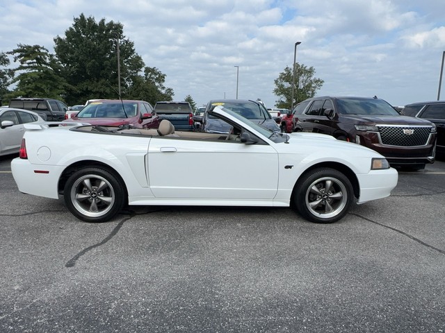 Columbia MO 2003 Ford Mustang more details - ford mustang