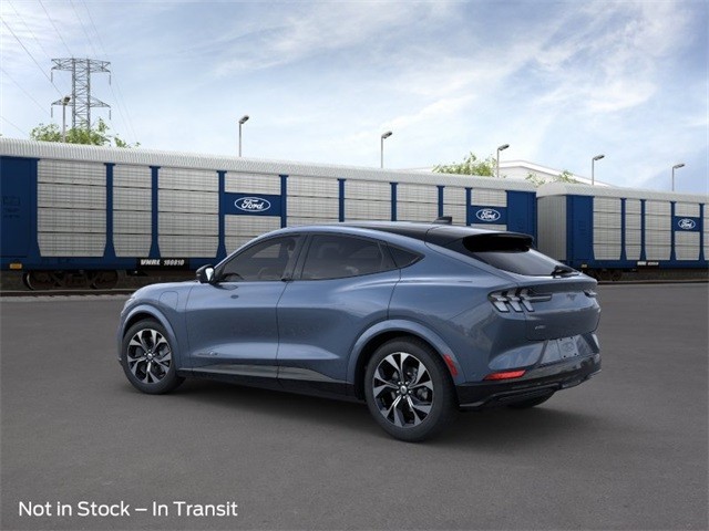 Ford Mustang Mach-E Vehicle Image 46
