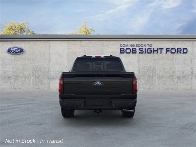 Ford F-150 Vehicle Image 45