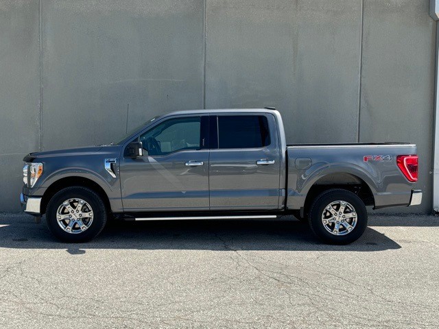 Ford F-150 Vehicle Image 16