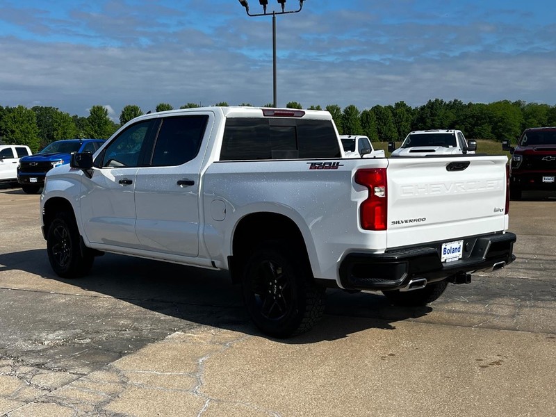 Chevrolet Silverado 1500 Vehicle Image 06