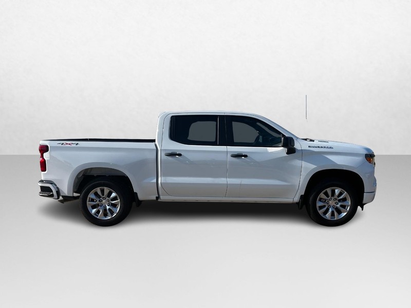 Chevrolet Silverado 1500 Vehicle Image 02