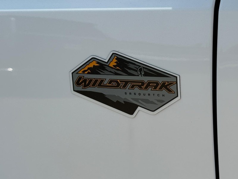 Ford Bronco Vehicle Image 08