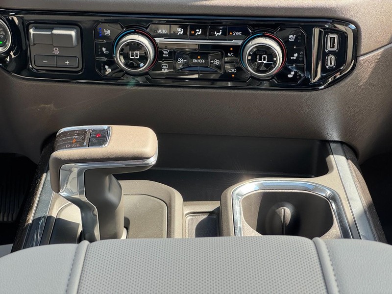 Chevrolet Silverado 1500 Vehicle Image 09