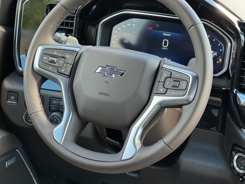 Chevrolet Silverado 1500 Vehicle Image 07