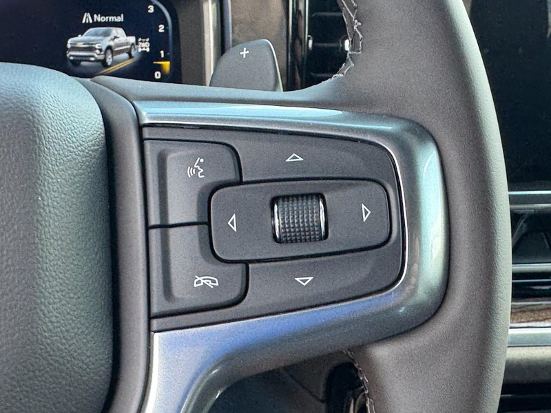 Chevrolet Silverado 1500 Vehicle Image 12