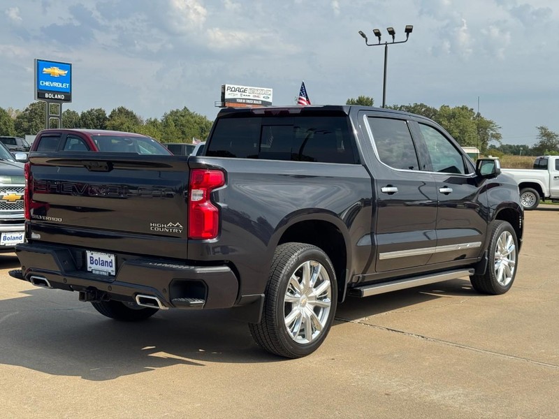 Chevrolet Silverado 1500 Vehicle Image 03