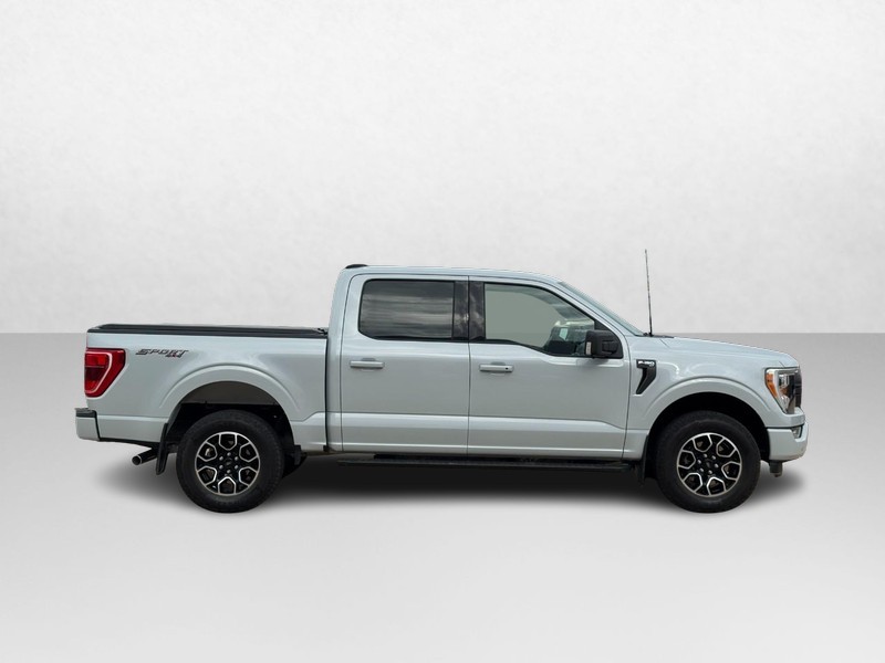 Ford F-150 Vehicle Image 02