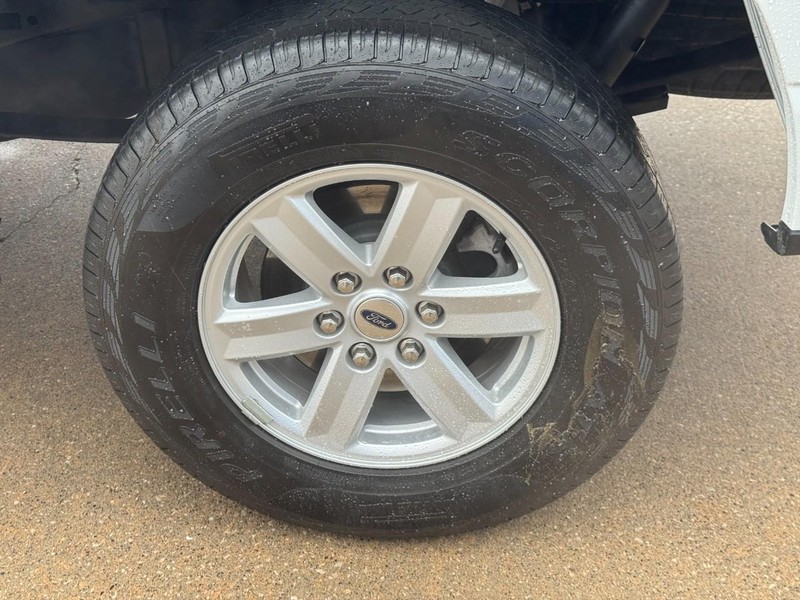 Ford F-150 Vehicle Image 07