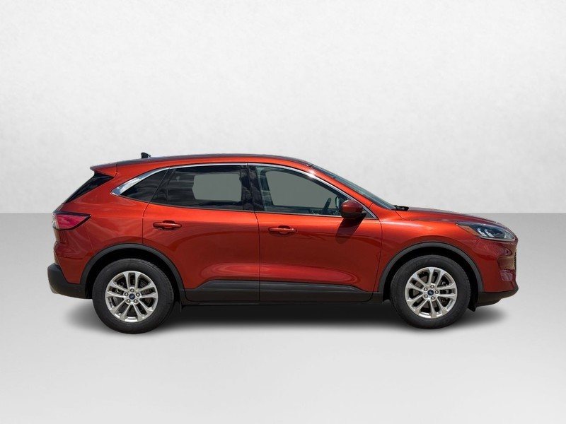 Ford Escape Vehicle Image 02