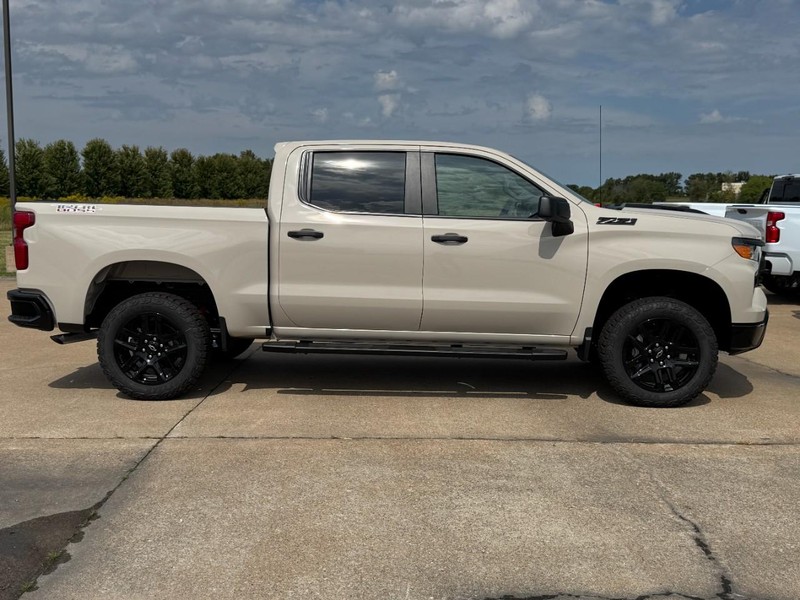 Chevrolet Silverado 1500 Vehicle Image 02