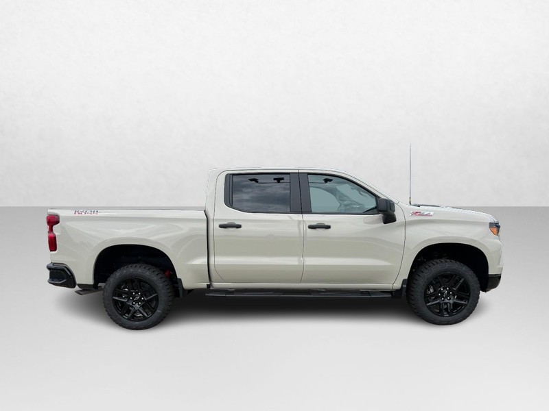 Chevrolet Silverado 1500 Vehicle Image 02